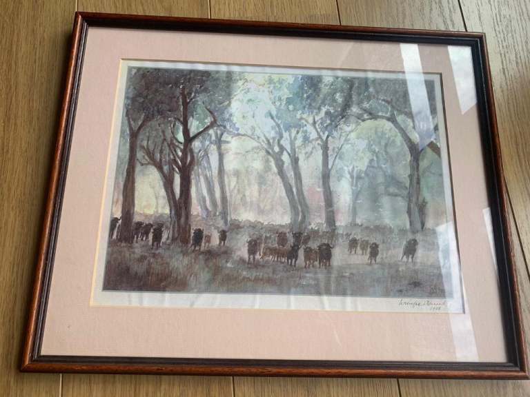 PICTURE OF BISON - SOUTH AFRICAN PICTURE?