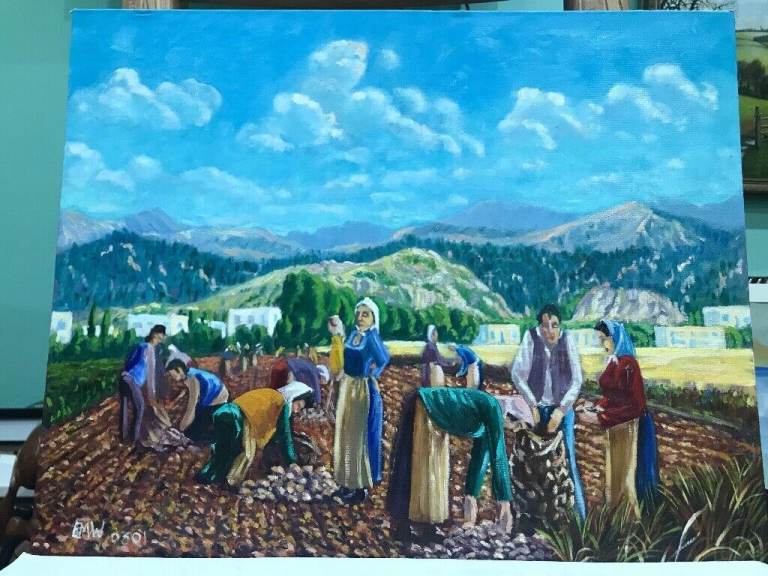 Potato picking in Cyprus 