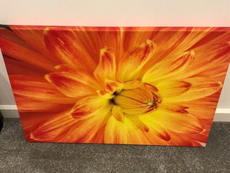 Canvas print Dahlia in Orange and Yellow