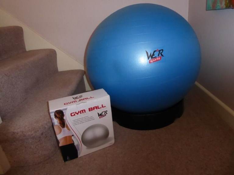 Exercise/Gym ball together with holder WE*R 65cm