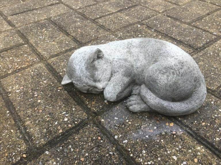 Curled stone sleeping cat garden ornament