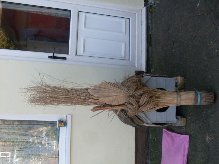 Reed Display