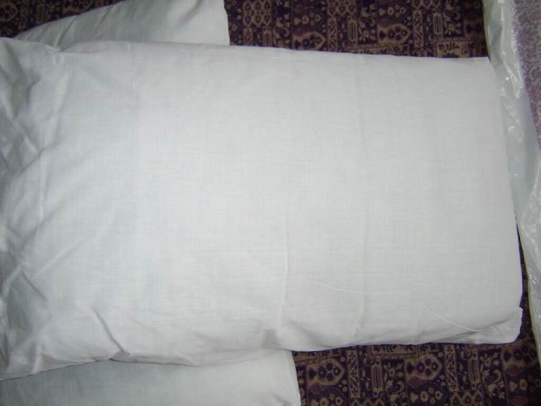 Brand New Pillows 