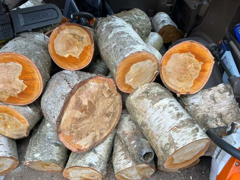 Firewood logs unsplit