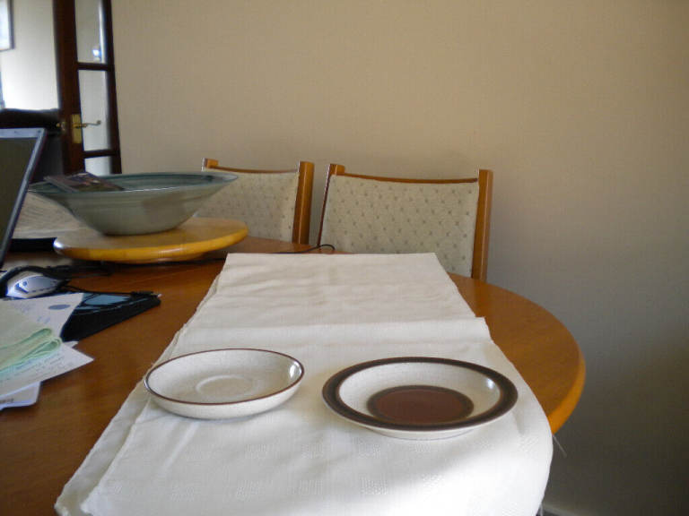 Denby Potters Wheel T plates & saucers, 12 plates, 13 saucers