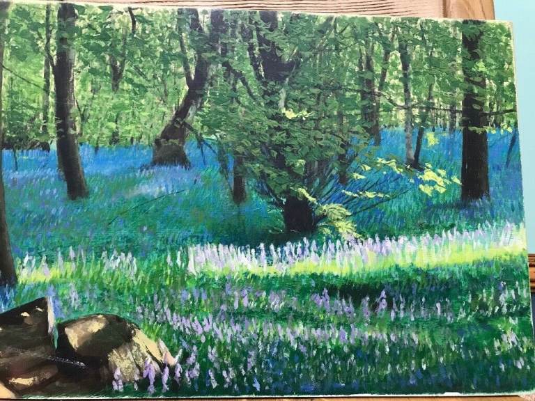 Bluebell Meadow