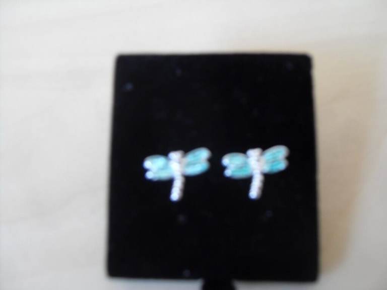 Absolutely Stunning Dragonfly Earrings - £20