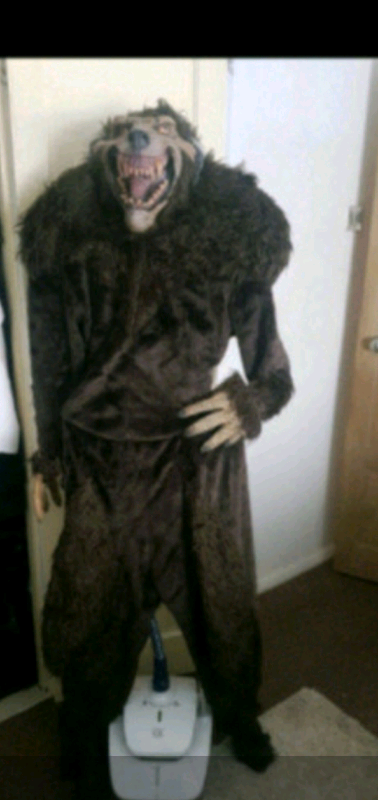 Fancy dress COSTUME (ADULT)