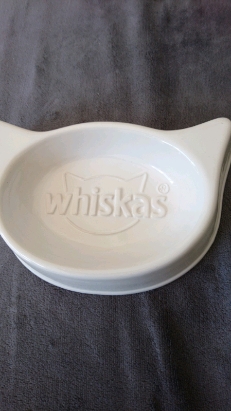 Ceramic cats dish