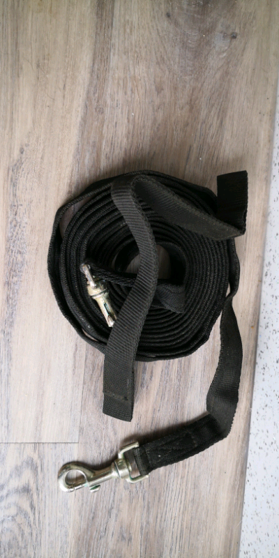 Horse Draw Reins Brown Webbing