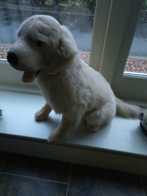 Labrador fur toy display 
