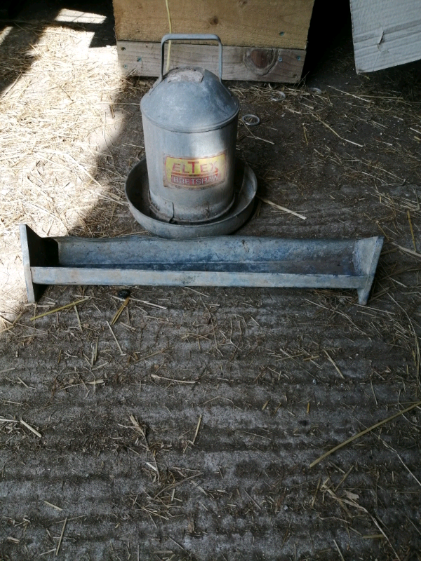 Poultry feeders