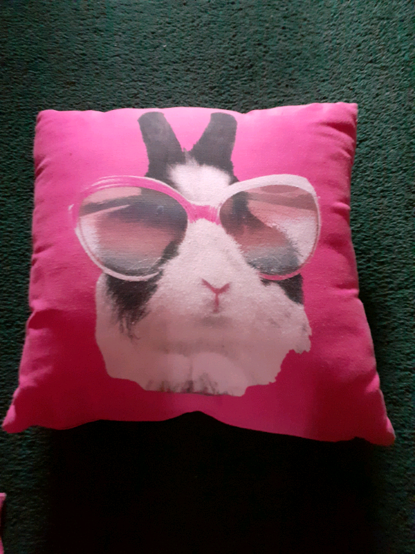 2  pink cushions 