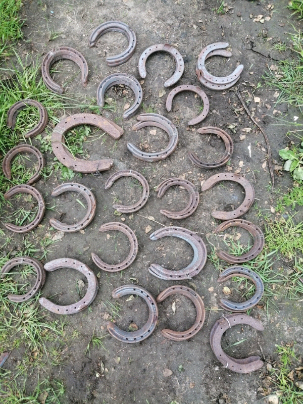 Horse shoes