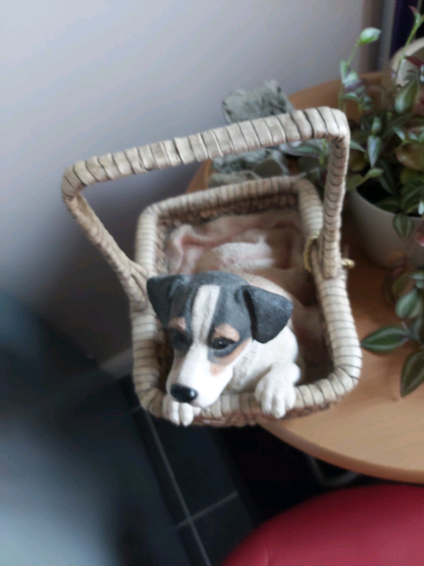 Leonardo Collection Jack Russell Dog in a Basket,please take me home