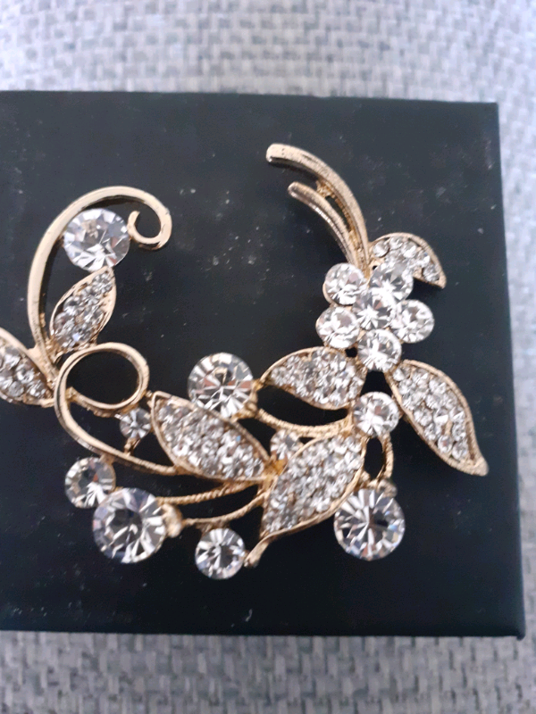 Brooch (Costume Jewellery)