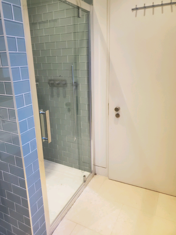 Shower door
