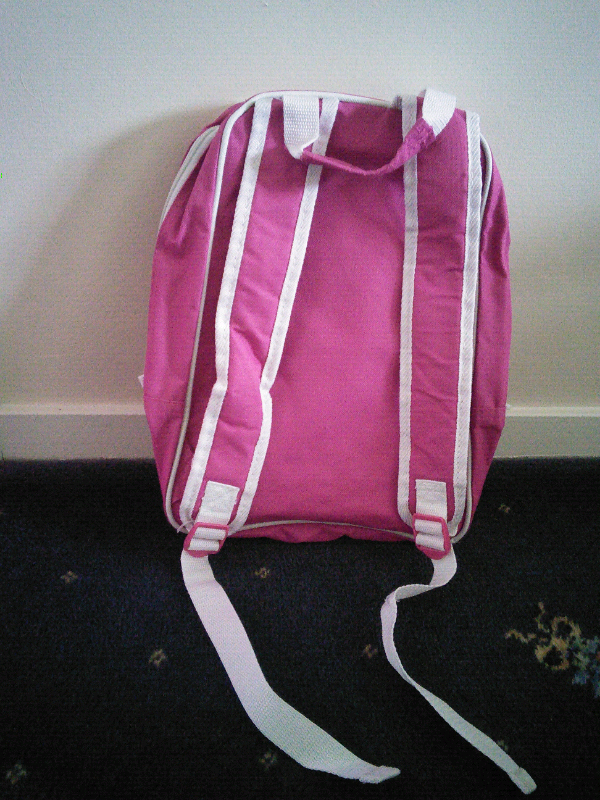 Dance/travel bag