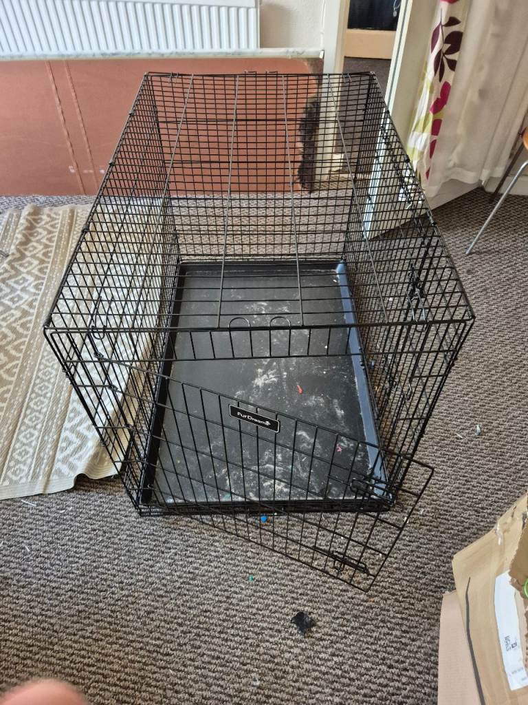 Dog cage large