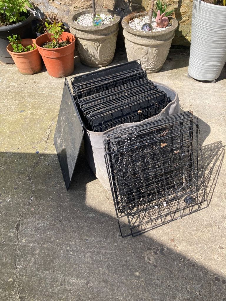 C+C cage ( rabbit/Guinea pig ) 