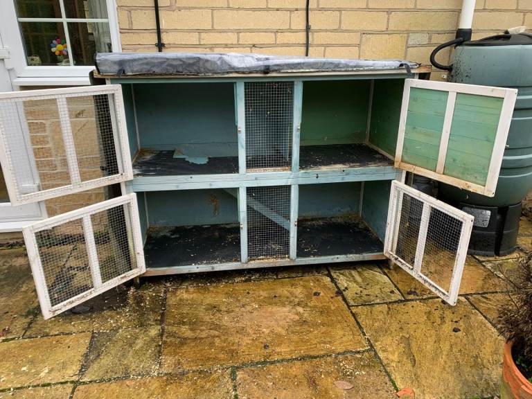 Rabbit/guinea pig twin level hutch