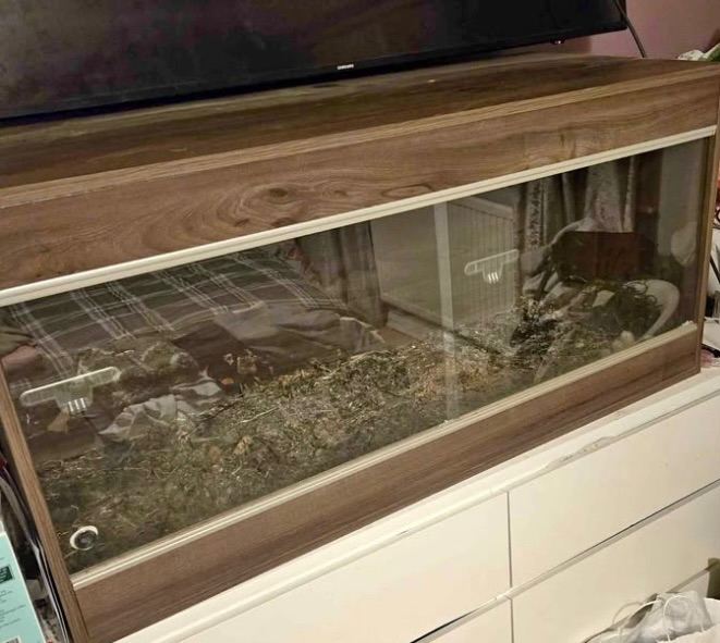 Good condition vivarium 