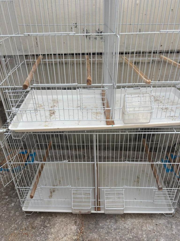 Breeding cages for birds