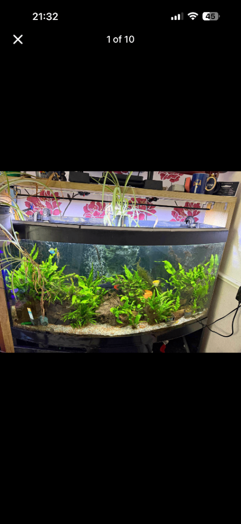 4 Foot Fish Tank 