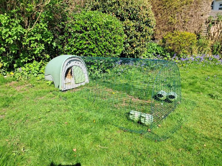 Omlet Eglu chicken coop with a 2-metre predator-proof run and extra accessories