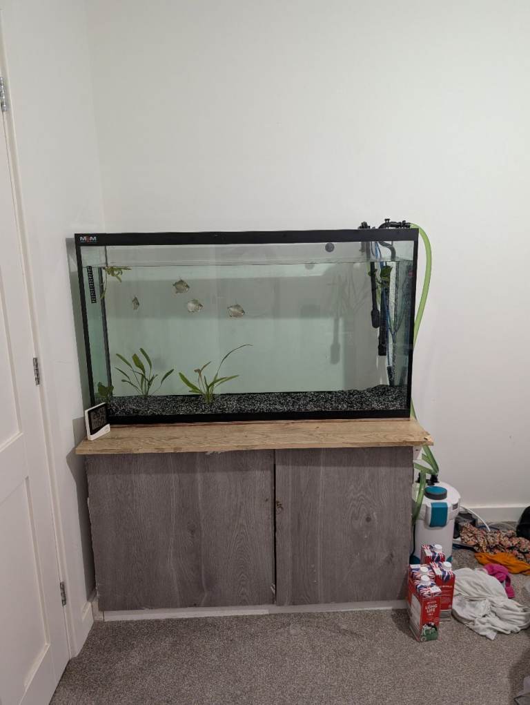 4ft long Full setup 350 l Customized heavy duty glass fish tank with 4 dollar fishes in Dudley 