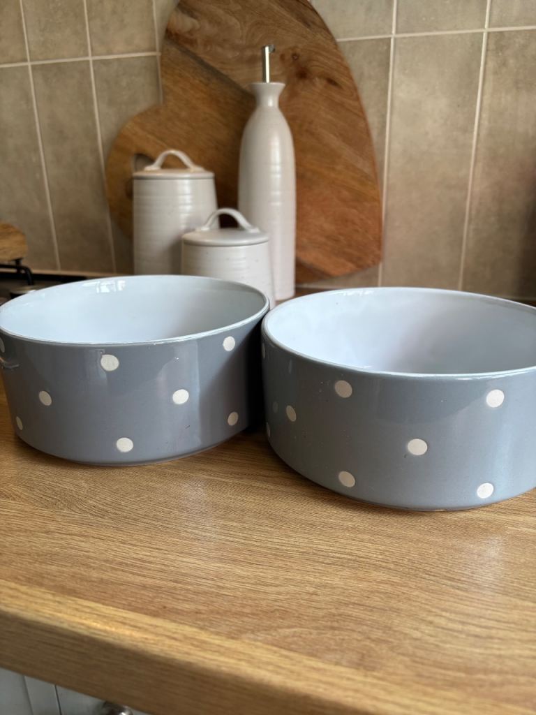 Mason Cash dog bowls 