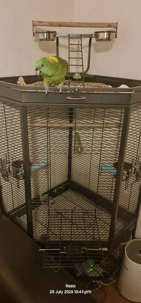Liberta Alaska Corner Cage