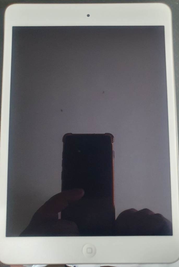 Apple iPad Mini 2 (16GB) – White, Good Condition