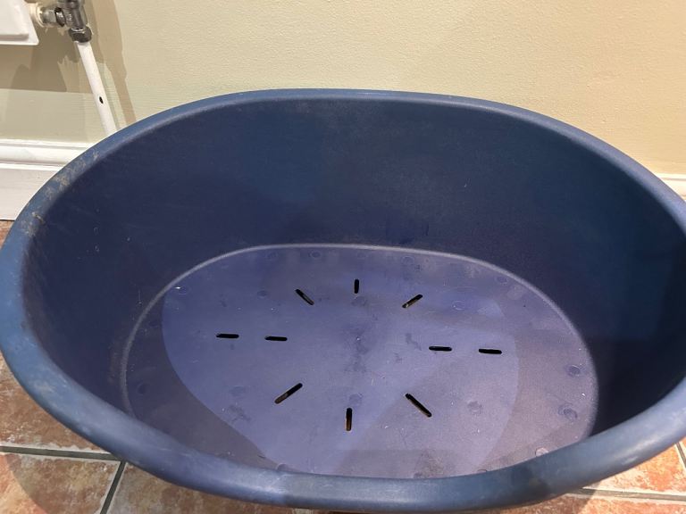 Blue plastic bed for medium sized dog