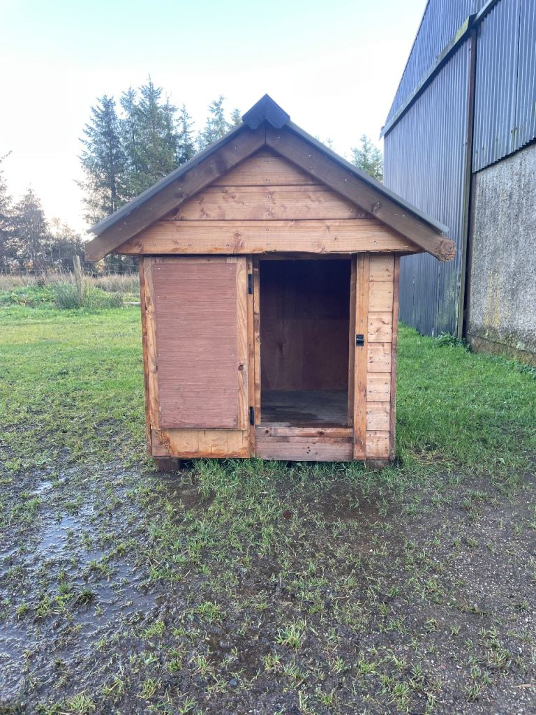 Large dog kennel 
