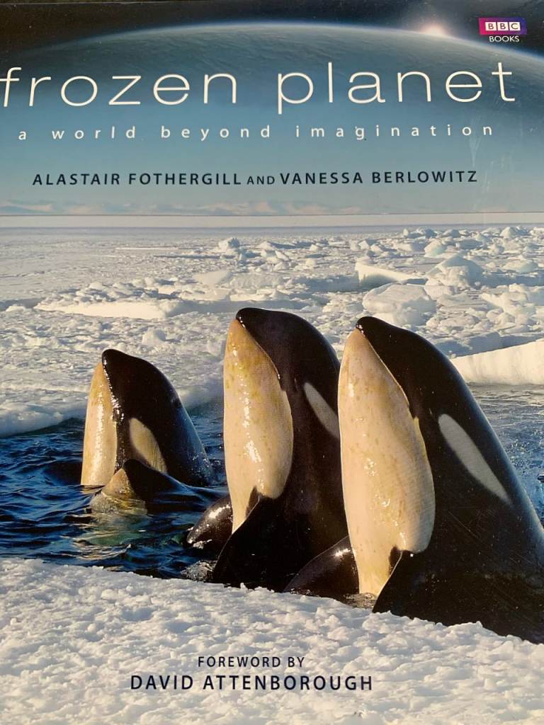 BRAND NEW BOOK - FROZEN PLANET - FROM THE BBC - 29 cm x 26 cm x 3 cm - REDUCED TO £10 UNTIL 23 MAY