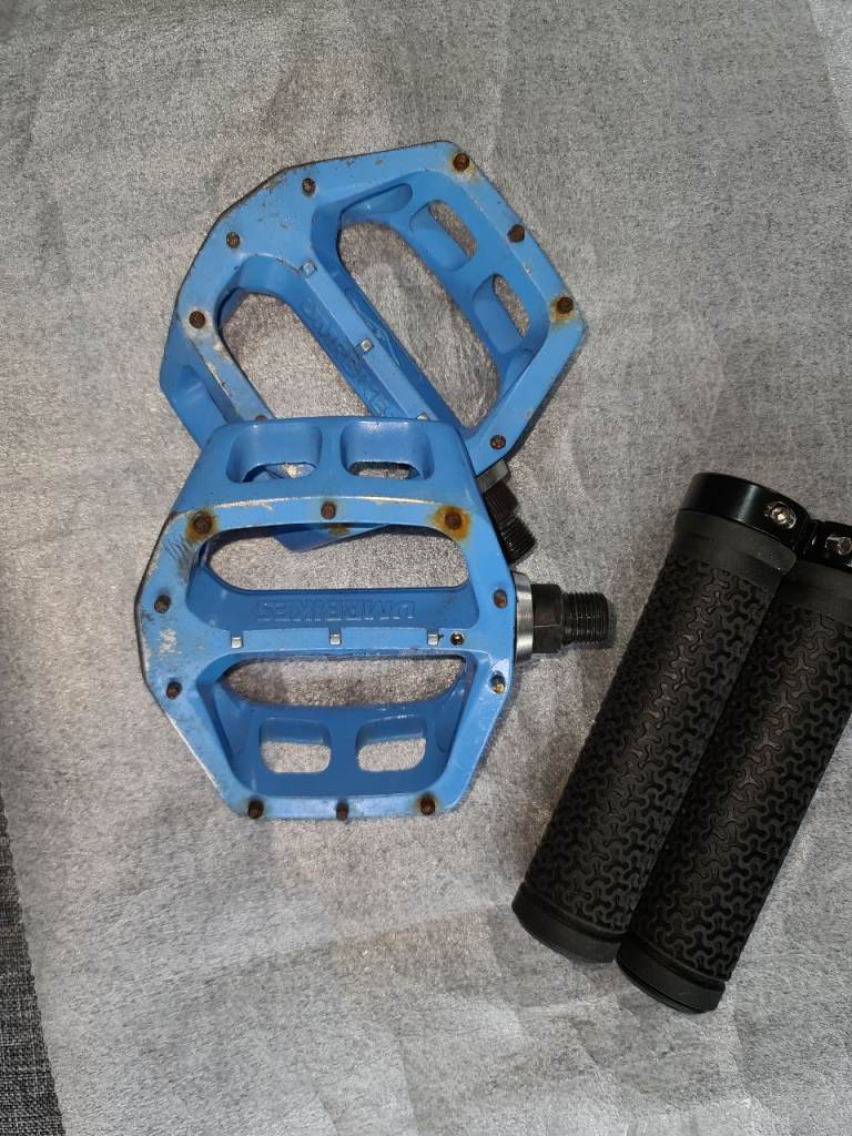 Blue alloy pedals  and grips 
