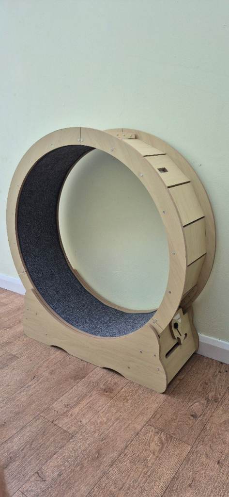 Cat wheel