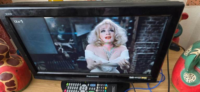 19" Panasonic TV 