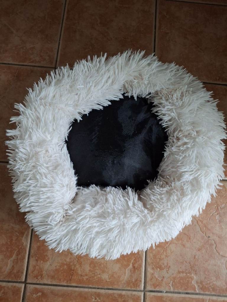 Donut washable dog bed.