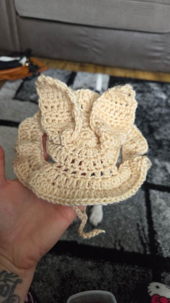 Dog/cat bunny hat