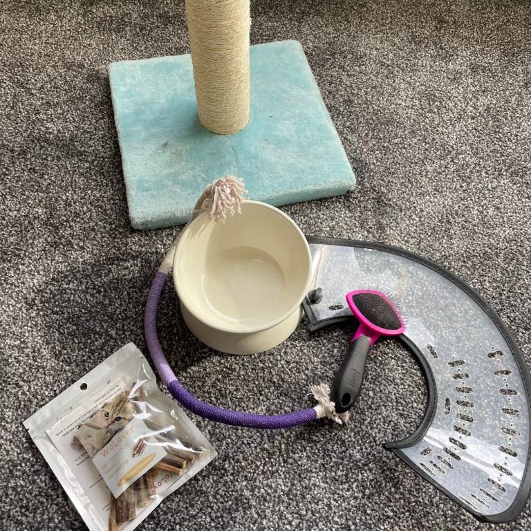 Cat Toys, Scratching Post, Grooming Brush, Food Bowl, Cone Collar, Molar Sticks (all in a box)