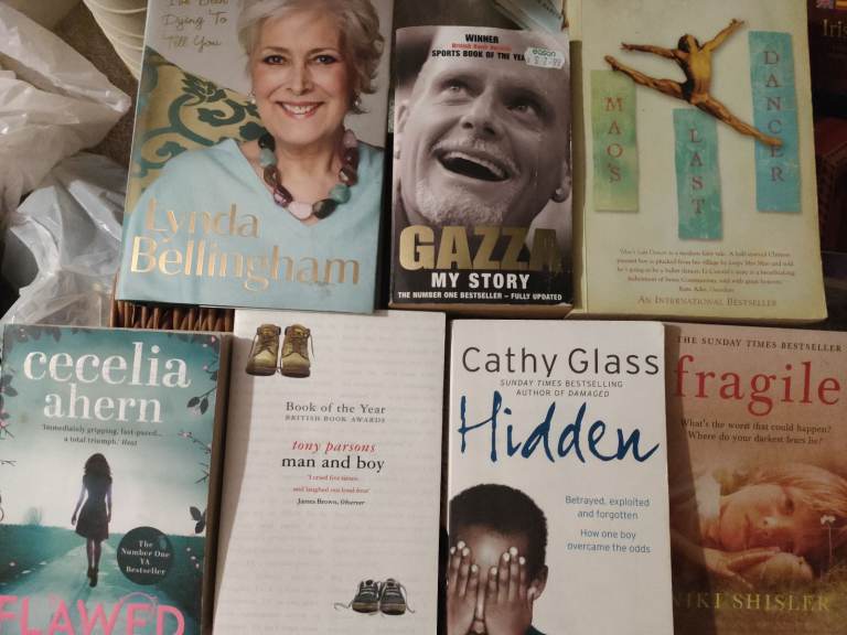 Books- fiction inc. Ahern & autobiography