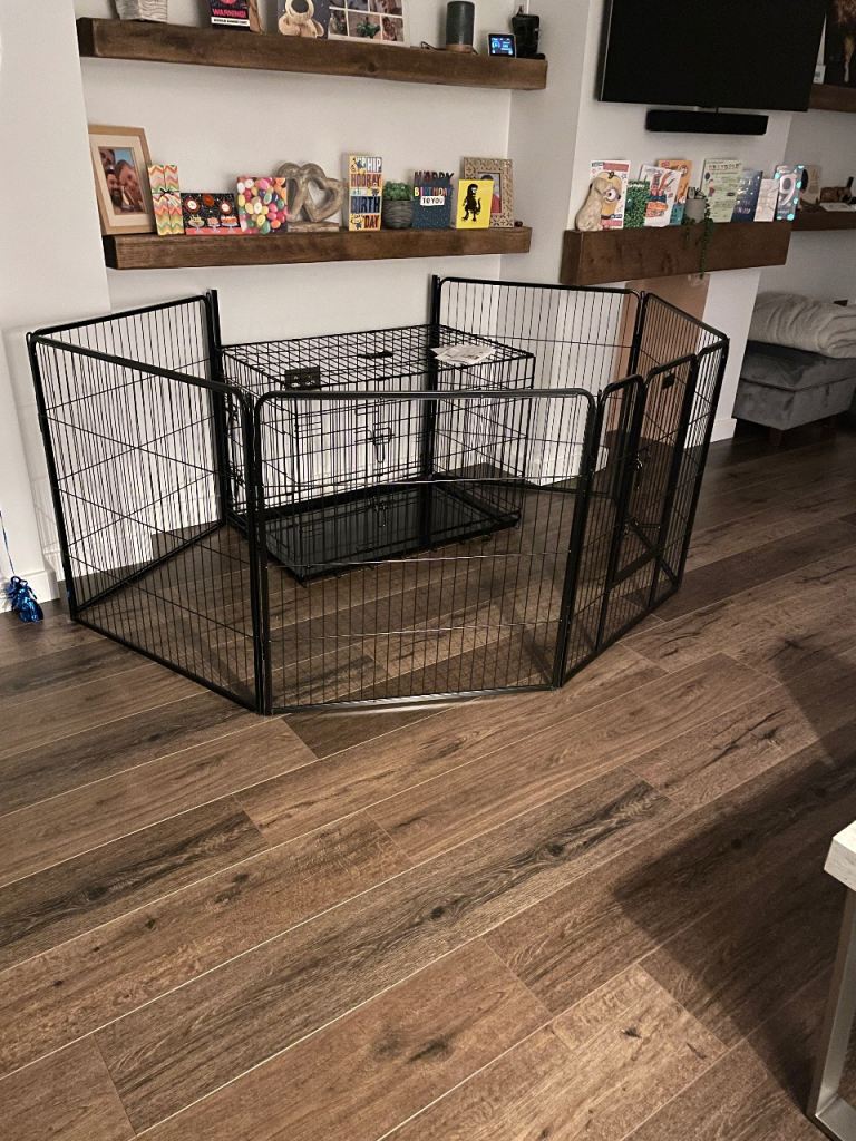 Lords and Labrador - crate and pen