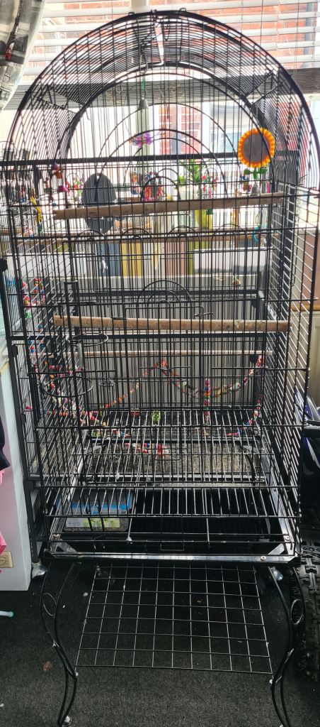 Bird cage 