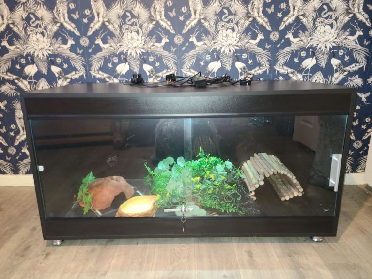 4ft by 2ft vivarium woth accessories 