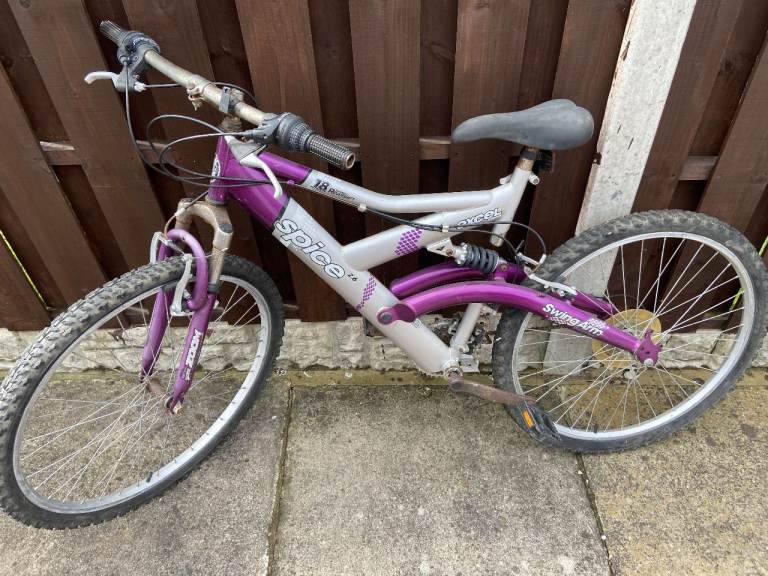 Adult bike