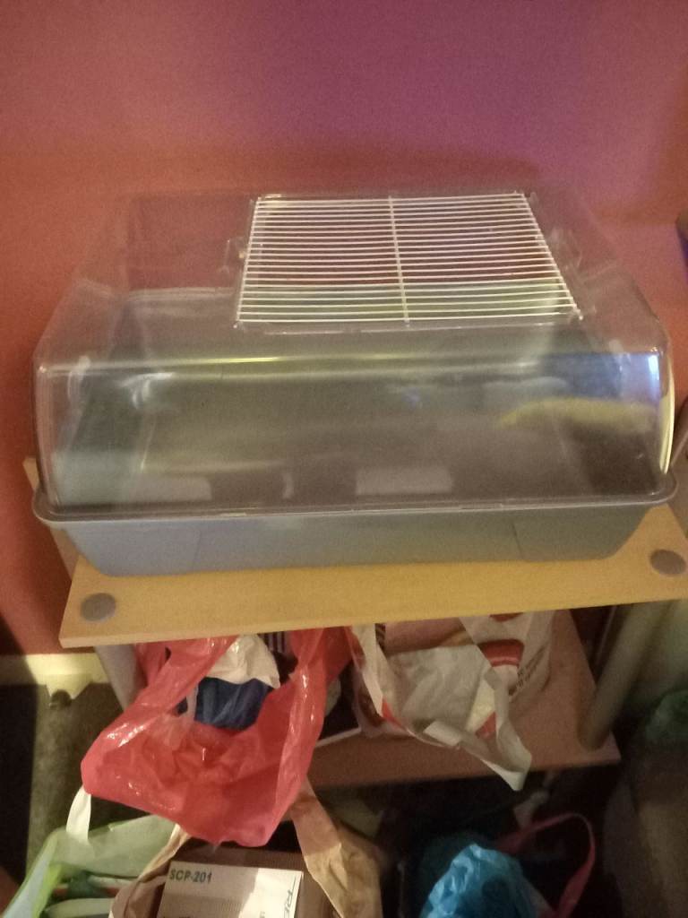 Hamster cage 