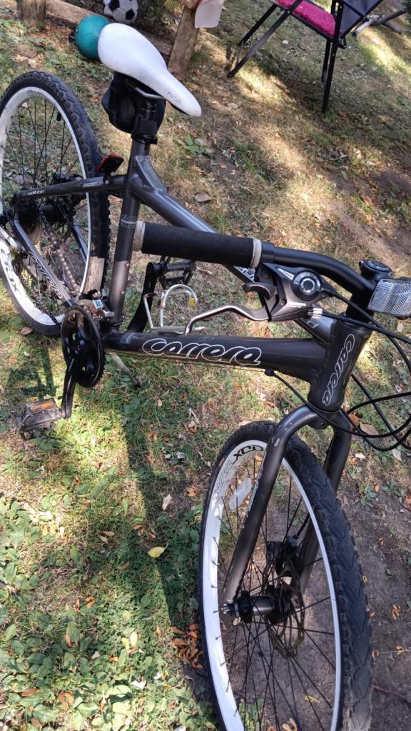 Carrera Subway LTD adult mountain bike 