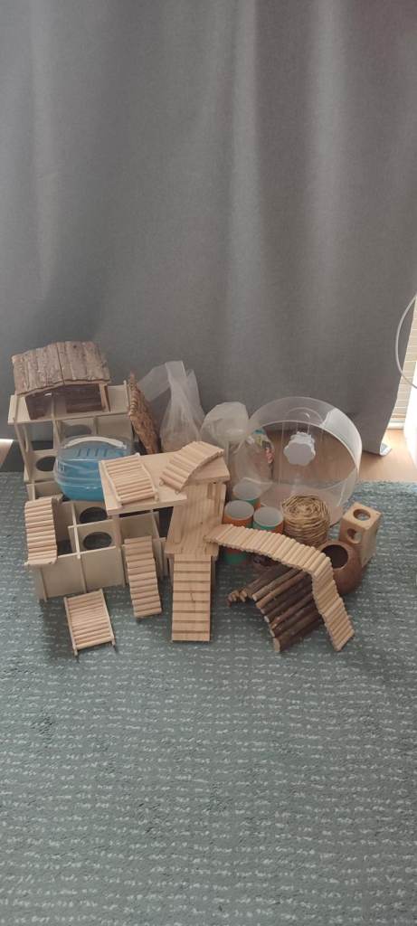 Everything you need for a happy hamster